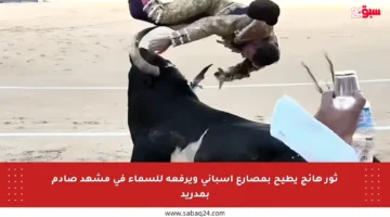 ثور هائج يطيح بمصارع إسباني ويرفعه للسماء في مشهد صادم بمدريد